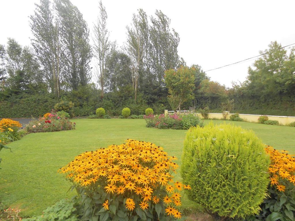 Gallows View Bed & Breakfast Bunratty Phòng bức ảnh